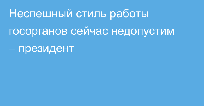 Неспешный стиль работы госорганов сейчас недопустим – президент