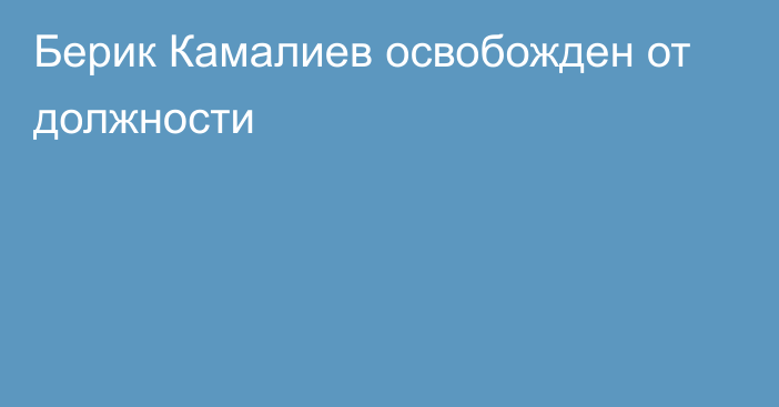 Берик Камалиев освобожден от должности