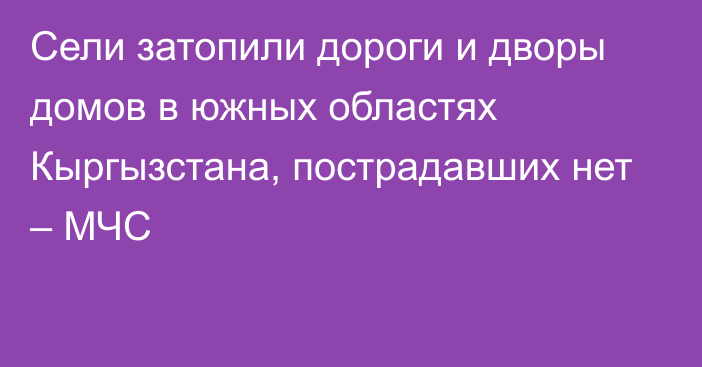 Сели затопили дороги и дворы домов в южных областях Кыргызстана, пострадавших нет – МЧС