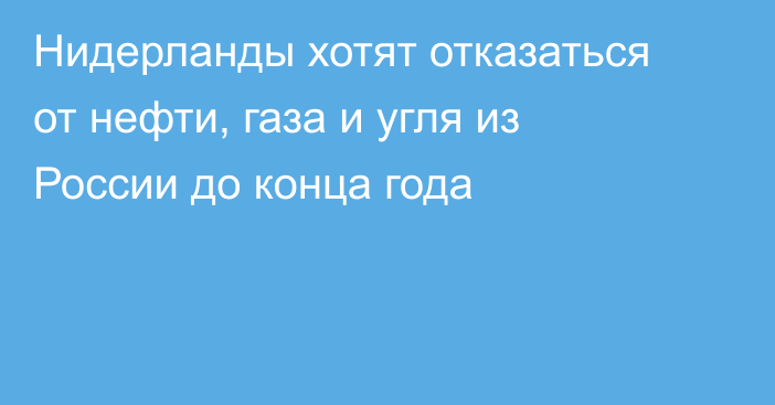 Нидерланды хотят отказаться от нефти, газа и угля из России до конца года