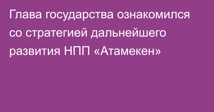 Глава государства ознакомился со стратегией дальнейшего развития НПП «Атамекен»