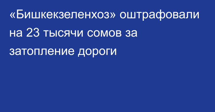 «Бишкекзеленхоз» оштрафовали на 23 тысячи сомов за затопление дороги