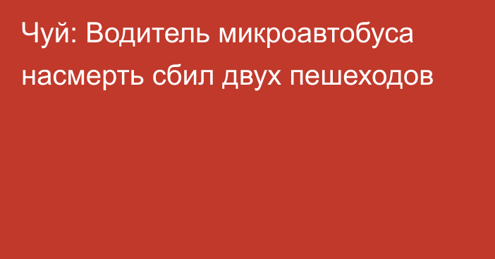 Чуй: Водитель микроавтобуса насмерть сбил двух пешеходов