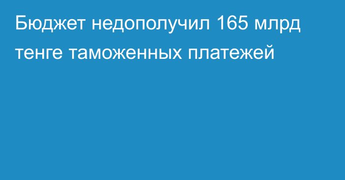 Бюджет недополучил 165 млрд тенге таможенных платежей