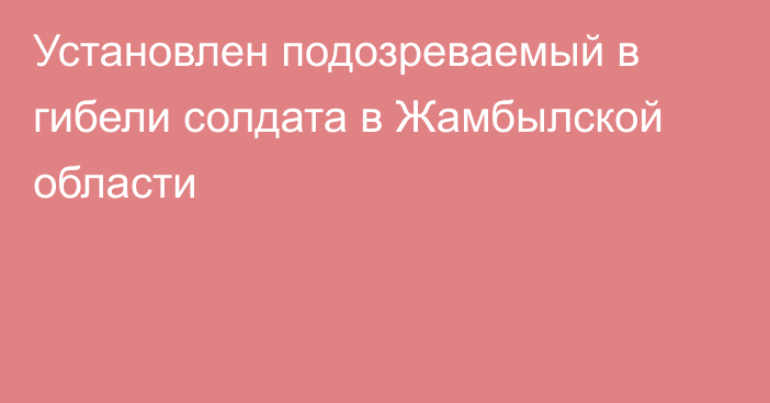 Установлен подозреваемый в гибели солдата в Жамбылской области