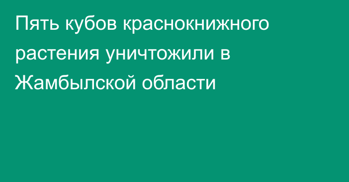 Пять кубов краснокнижного растения уничтожили в Жамбылской области