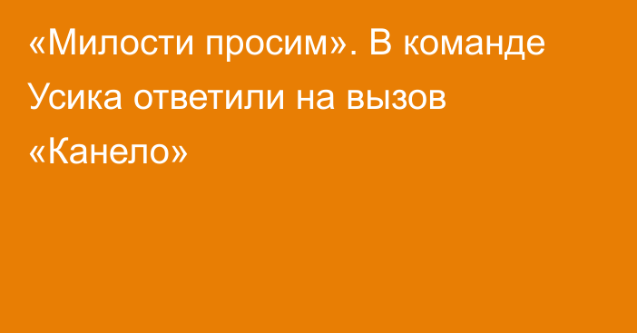 «Милости просим». В команде Усика ответили на вызов «Канело»