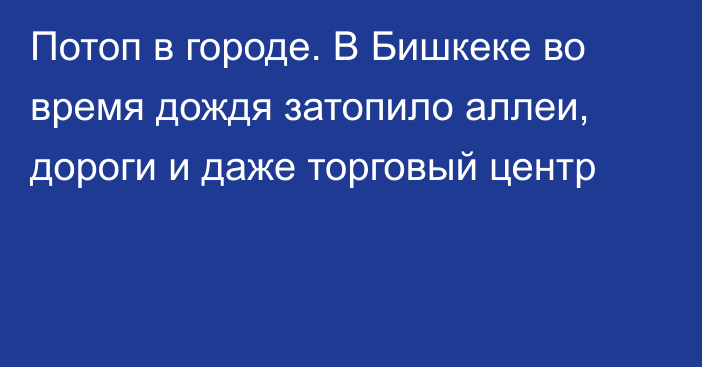 Потоп в городе. В Бишкеке во время дождя затопило аллеи, дороги и даже торговый центр