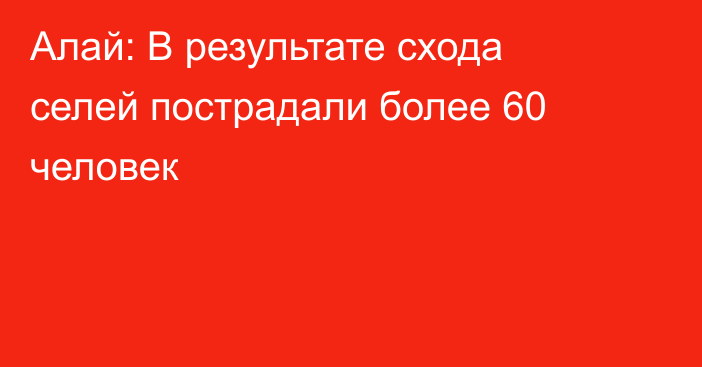 Алай: В результате схода селей пострадали более 60 человек