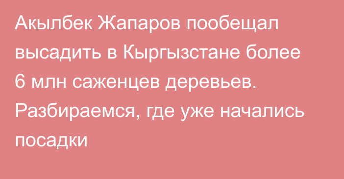 Акылбек Жапаров пообещал высадить в Кыргызстане более 6 млн саженцев деревьев. Разбираемся, где уже начались посадки