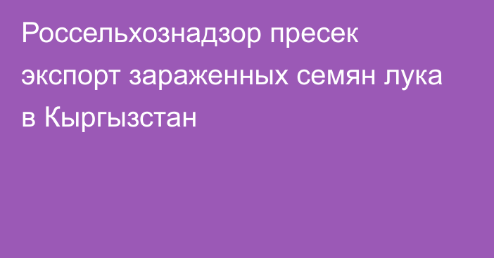 Россельхознадзор пресек экспорт зараженных семян лука в Кыргызстан