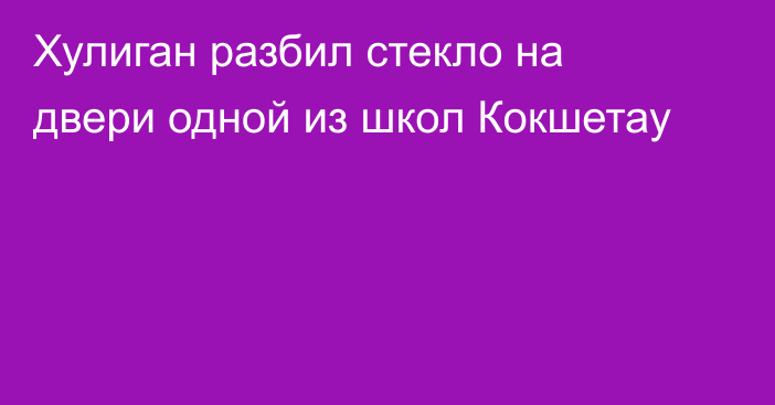 Хулиган разбил стекло на двери одной из школ Кокшетау