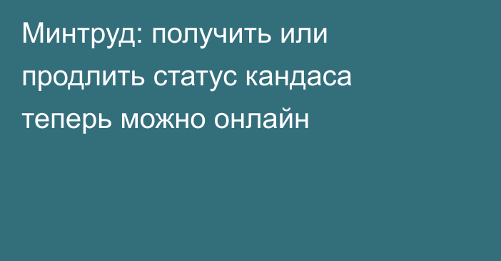 Минтруд: получить или продлить статус кандаса теперь можно онлайн