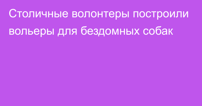 Столичные волонтеры построили вольеры для бездомных собак