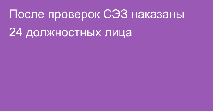 После проверок СЭЗ наказаны 24 должностных лица