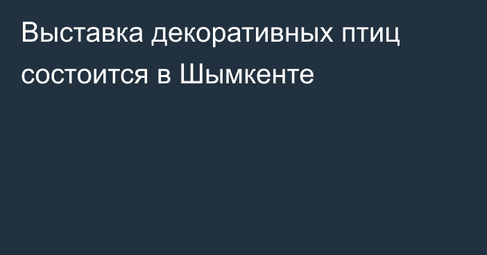 Выставка декоративных птиц состоится в Шымкенте