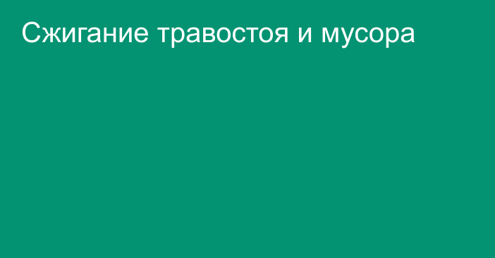 Сжигание травостоя и мусора