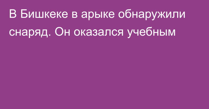 В Бишкеке в арыке обнаружили снаряд. Он оказался учебным