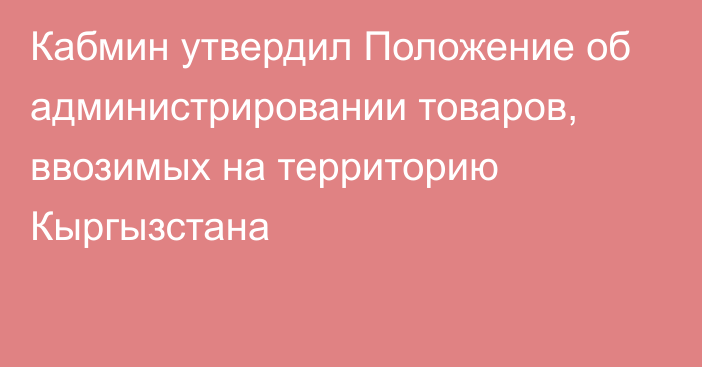 Кабмин утвердил Положение об администрировании товаров, ввозимых на территорию Кыргызстана