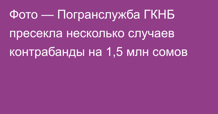 Фото — Погранслужба ГКНБ пресекла несколько случаев контрабанды на 1,5 млн сомов 