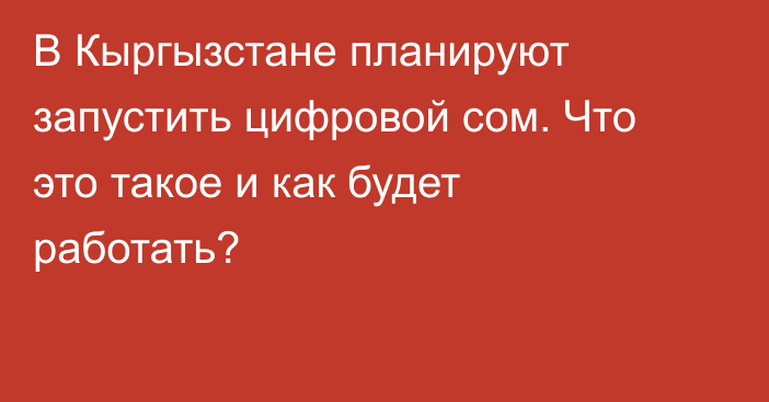 В Кыргызстане планируют запустить цифровой сом. Что это такое и как будет работать?