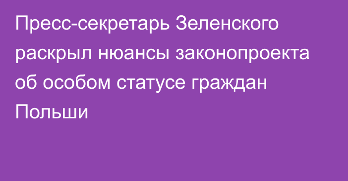 Пресс-секретарь Зеленского раскрыл нюансы законопроекта об особом статусе граждан Польши