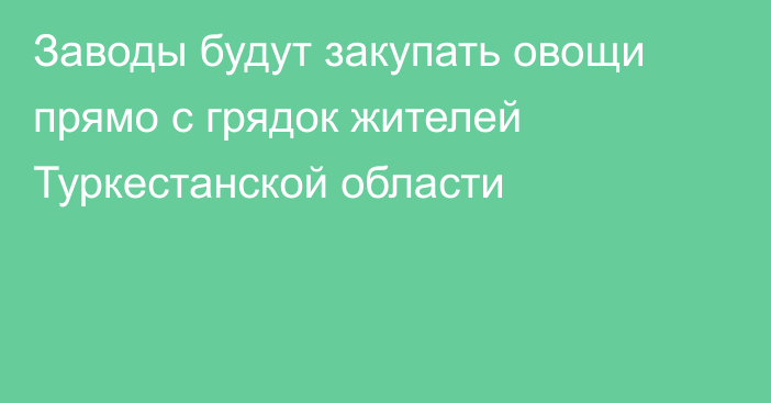 Заводы будут закупать овощи прямо с грядок жителей Туркестанской области