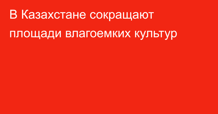 В Казахстане сокращают площади влагоемких культур