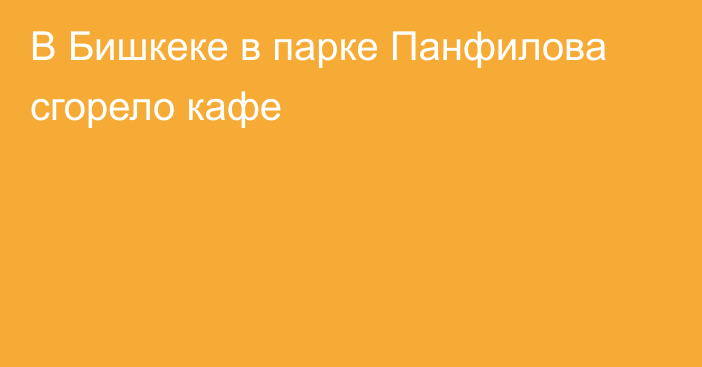 В Бишкеке в парке Панфилова сгорело кафе