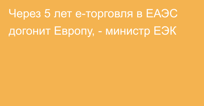 Через 5 лет е-торговля в ЕАЭС догонит Европу, - министр ЕЭК