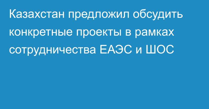 Казахстан предложил обсудить конкретные проекты в рамках сотрудничества ЕАЭС и ШОС