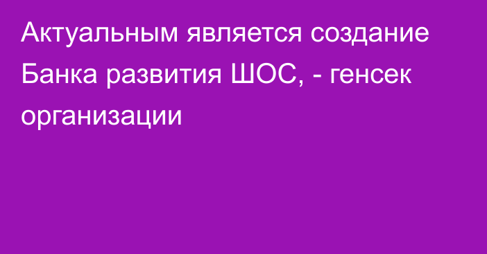 Актуальным является создание Банка развития ШОС, - генсек организации 