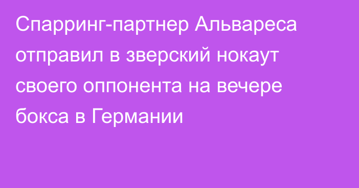 Спарринг-партнер Альвареса отправил в зверский нокаут своего оппонента на вечере бокса в Германии