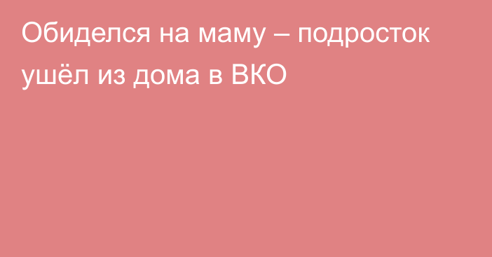 Обиделся на маму – подросток ушёл из дома в ВКО