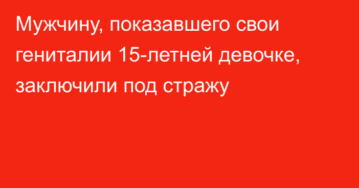 Мужчину, показавшего свои гениталии 15-летней девочке, заключили под стражу