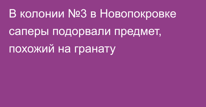 В колонии №3 в Новопокровке саперы подорвали предмет, похожий на гранату