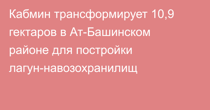 Кабмин трансформирует 10,9 гектаров в Ат-Башинском районе для постройки лагун-навозохранилищ