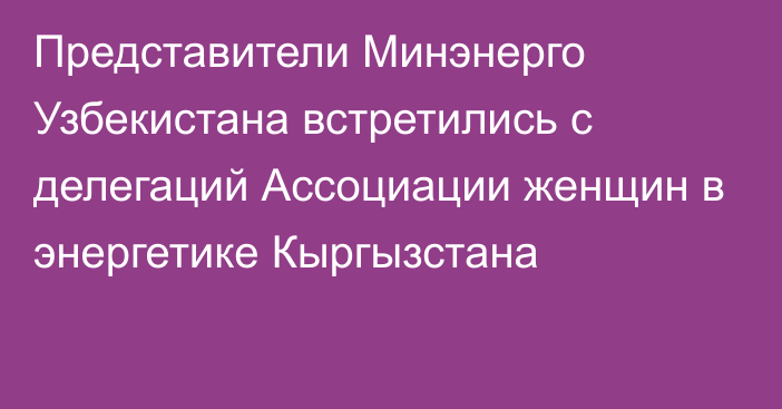 Представители Минэнерго Узбекистана встретились с делегаций Ассоциации женщин в энергетике Кыргызстана