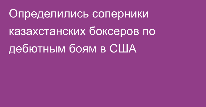 Определились соперники казахстанских боксеров по дебютным боям в США