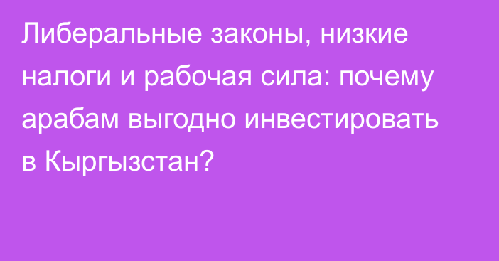 Либеральные законы, низкие налоги и рабочая сила: почему арабам выгодно инвестировать в Кыргызстан?