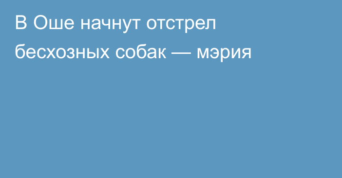 В Оше начнут отстрел бесхозных собак — мэрия