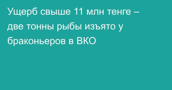 Ущерб свыше 11 млн тенге – две тонны рыбы изъято у браконьеров в ВКО