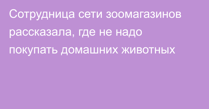 Сотрудница сети зоомагазинов рассказала, где не надо покупать домашних животных