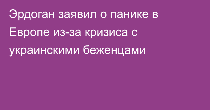 Эрдоган заявил о панике в Европе из-за кризиса с украинскими беженцами