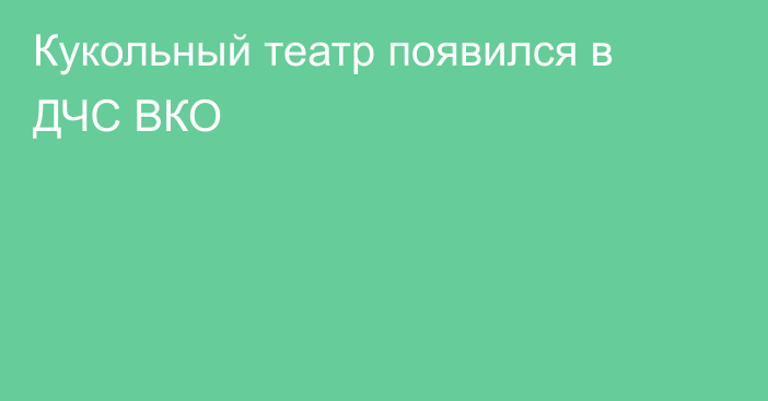 Кукольный театр появился в ДЧС ВКО