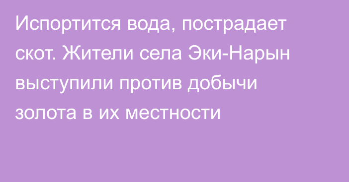 Испортится вода, пострадает скот. Жители села Эки-Нарын выступили против добычи золота в их местности