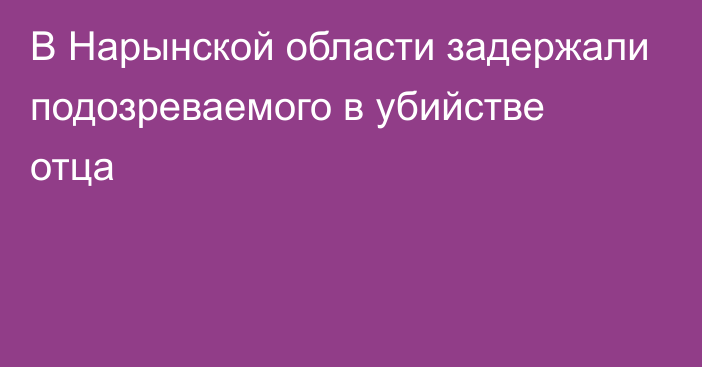 В Нарынской области задержали подозреваемого в убийстве отца