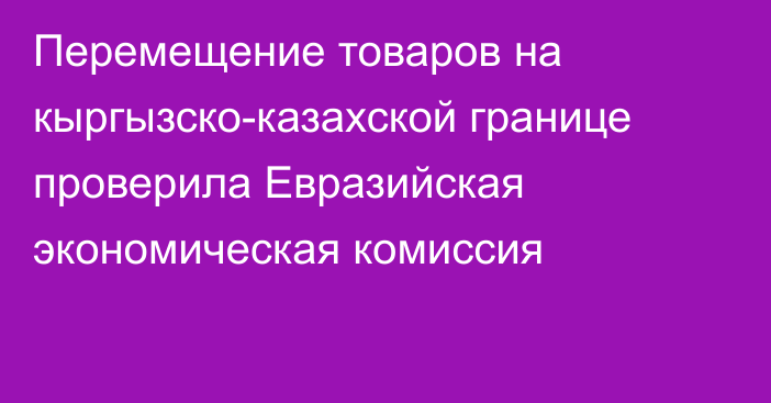 Перемещение товаров на кыргызско-казахской границе проверила Евразийская экономическая комиссия