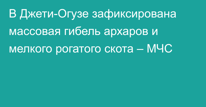 В Джети-Огузе зафиксирована массовая гибель архаров и мелкого рогатого скота – МЧС