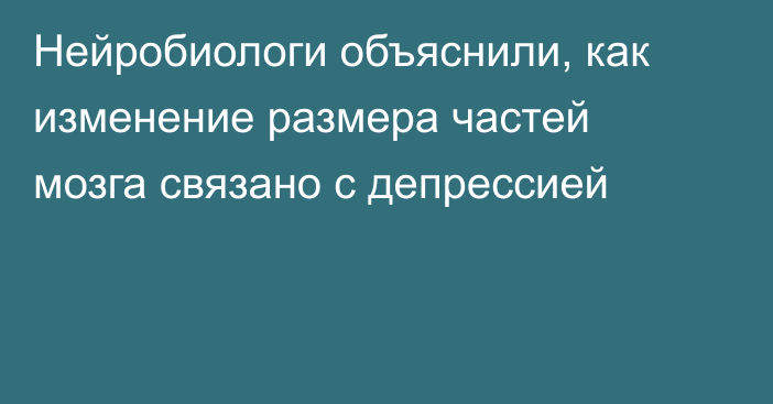 Нейробиологи объяснили, как изменение размера частей мозга связано с депрессией